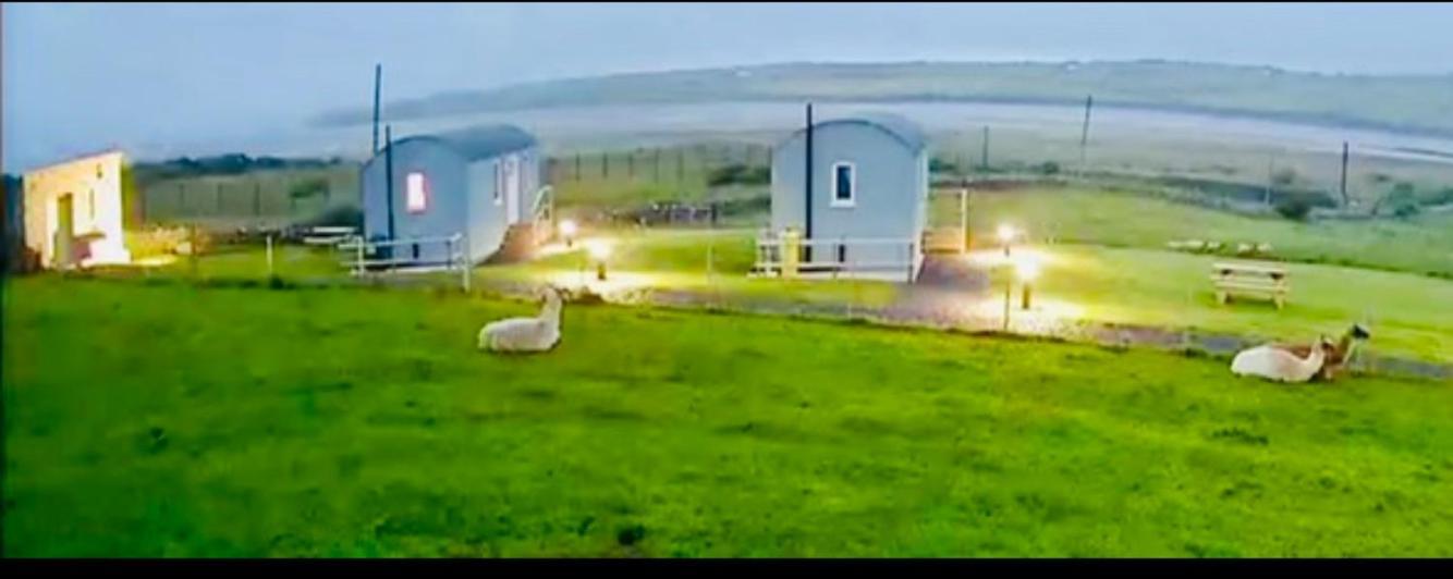 The Snuggly Sheep Shepherd Hut Farm Stay Ballyshannon Exterior foto